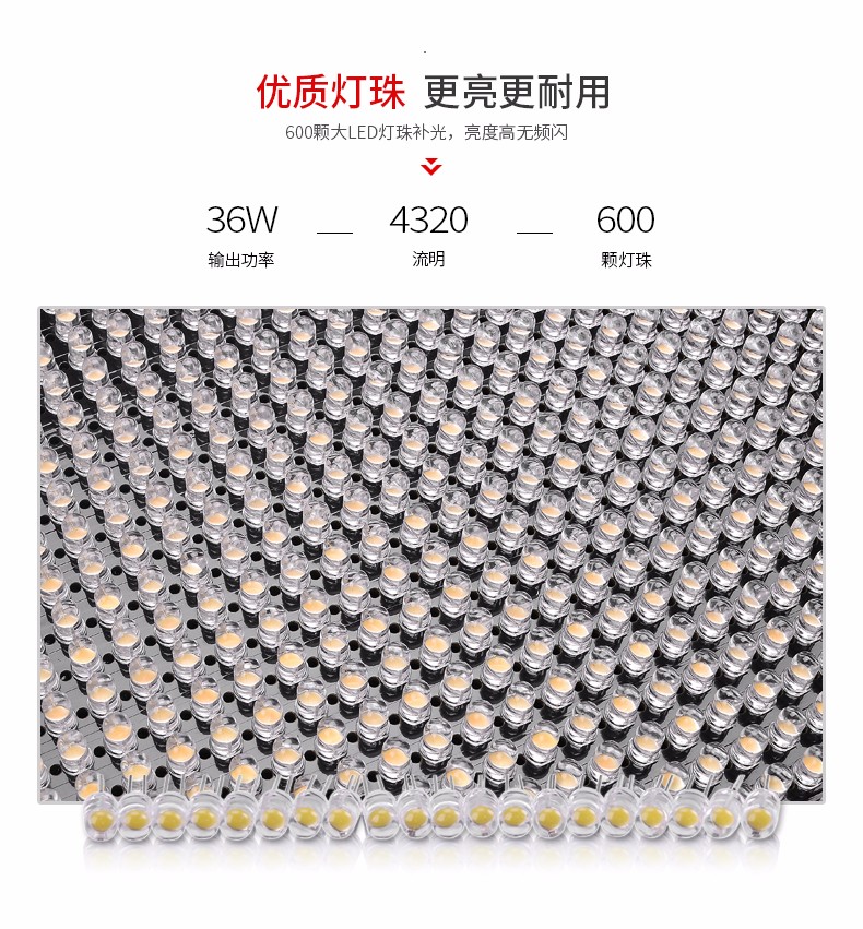 圖立方,LED攝影燈,LED攝像燈,專業(yè)攝影器材廠家,圖立方攝影燈,補(bǔ)光燈,影視器材,攝影燈,環(huán)形燈,直播燈,攝影器材,攝影燈廠家,影視器材廠家,攝影器材廠家